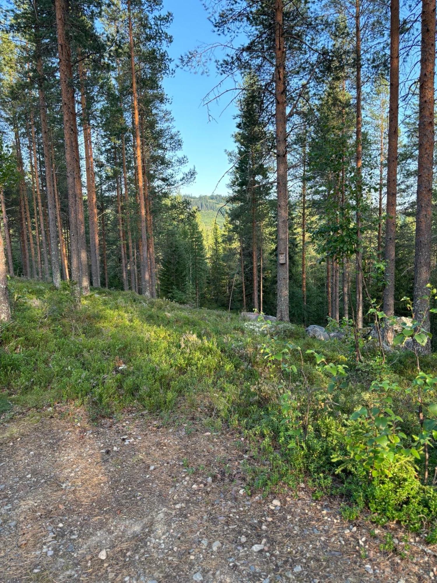 Loppiaiskaari 5, Paljakka Puolanka Exterior photo